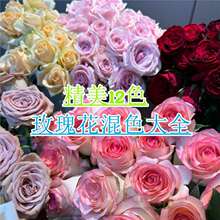 õ�廨�N���׻�N���ӾGֲ���ļ��_���r���N���҃���������ͥԺ