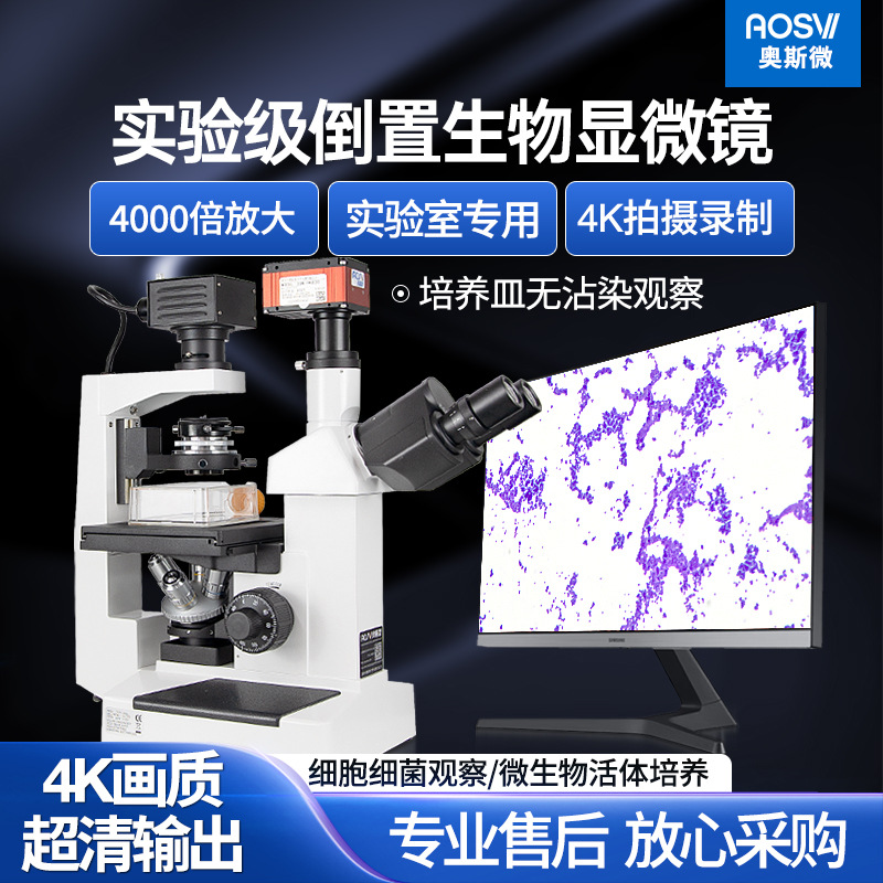 奥斯微（AOSVI）4K超清实验室倒置生物显微镜BX19-HK830