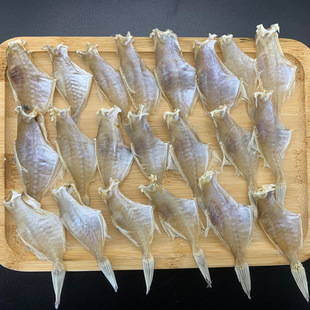 魚馬面魚圖片 海量高清魚馬面魚圖片大全 阿里巴巴