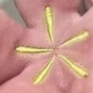 Интернет-красное веселье тюльпан плюшевая игрушка кукла букет девушки выпускной подарок кукла htt