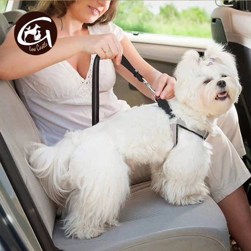 Explosion-proof dog leash when going out, medium-sized dog leash, elastic reflective car dual-purpose traction pet supplies
