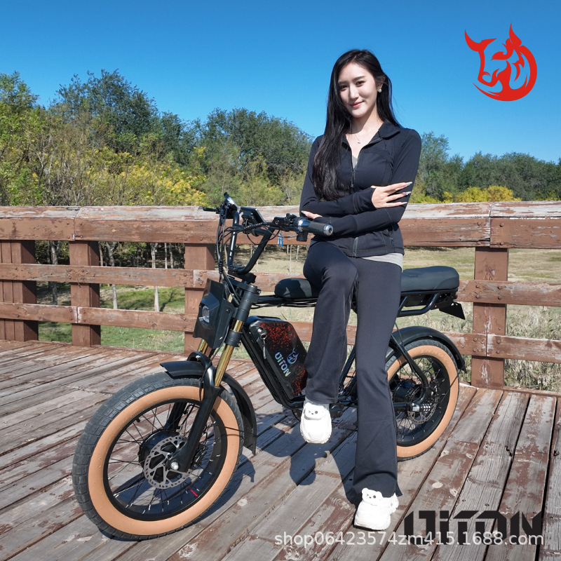 Diton Retro Electric Power-Assisted Bicycle D1Max Off-Road Variable Speed High Carbon Steel Electric Motorcycle