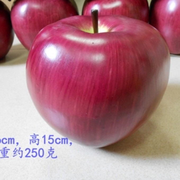 One burgundy red snake fruit 16cm