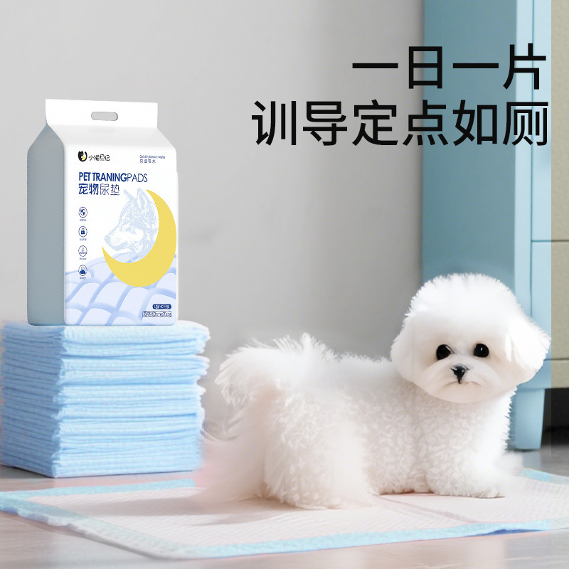 Almohadilla para perros 100 piezas de suministros para mascotas Teddy carbón de bambú desodorante para pañales almohadilla absorbente para pañales de gato y conejo almohadilla para pañales