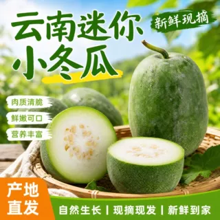 中通云南磨沙小冬瓜特产面嫩甜新鲜现摘餐馆蔬果自种家用包邮