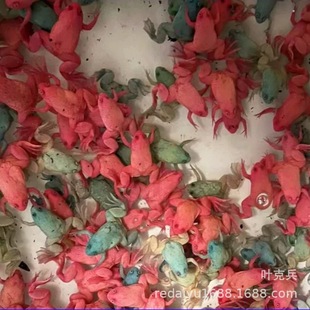 �Ϻ��^�p�ܽ��ܲ��܌�����ܻ��w��ˮ���B�ͻ����~���