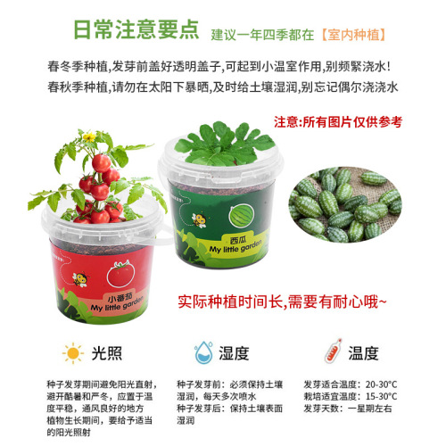 Factory Wholesale DIY Handmade Science Experiment Planting Student Kindergarten Toys Gift Planting Fruits and Vegetables