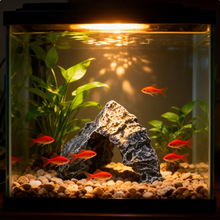 鱼缸假山石鱼缸造景装饰沙盘布景园林模型盆景配件小石头雪景石摆