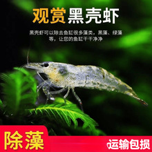 �ښ��r�r���^�p�r�����~��С�r��ˮ�ͻ���ˮ̖�坍�O��ѻ��r