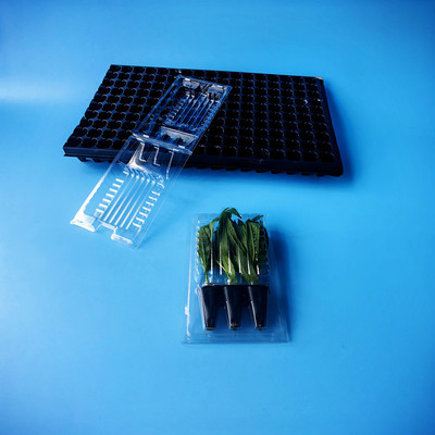 种苗盆栽运输盒 花苗pet吸塑泡壳包装盒 厂家批发花苗运输包装盒