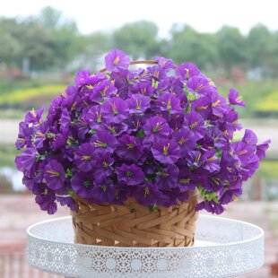 �羳���R�d��������ٻ����栿ţ����ɫ�����������Ҿӑ����b�