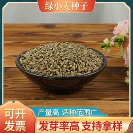 豆类;麦类;面粉