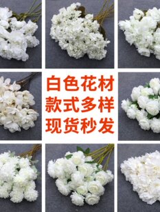 ��ɫ����Y���Ļ�ˇ�������û���픻�·�����b��Ļ�c�ٻ�