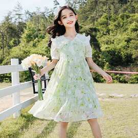 女童连衣裙2026夏季新款短袖洋气女孩娃娃中大童刺绣雪纺公主裙