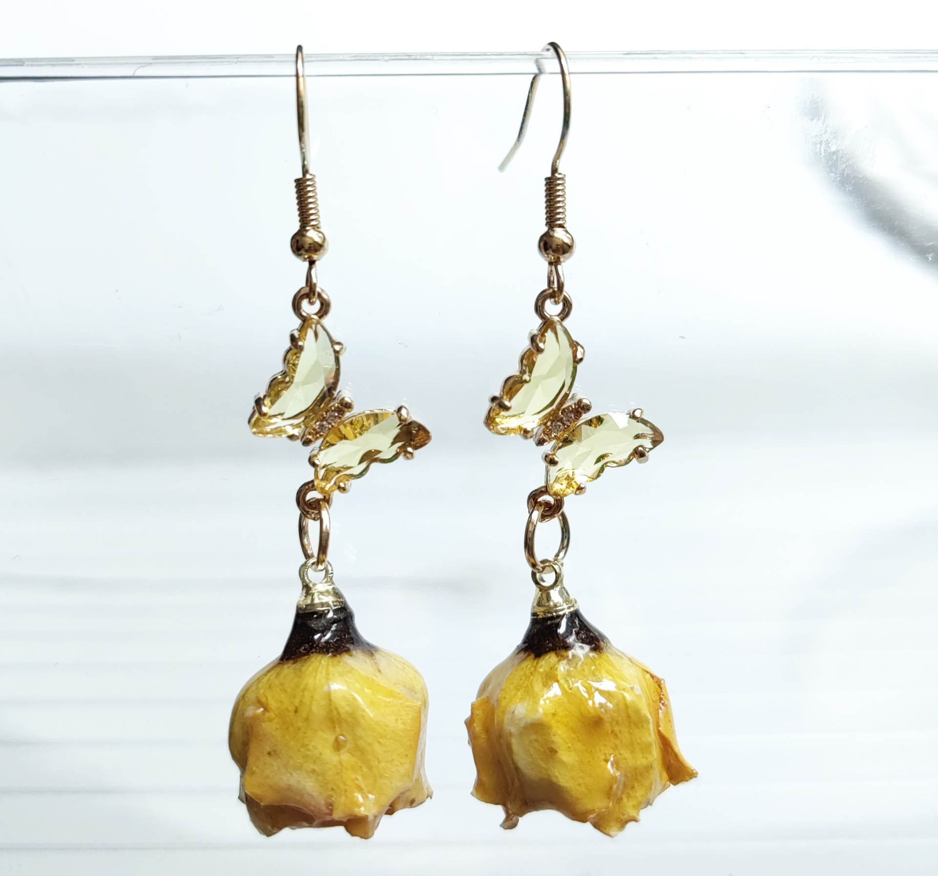 하오시 나비 노란 장미