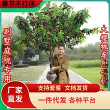 һlش܇ӘҘϷNֲͥԺ