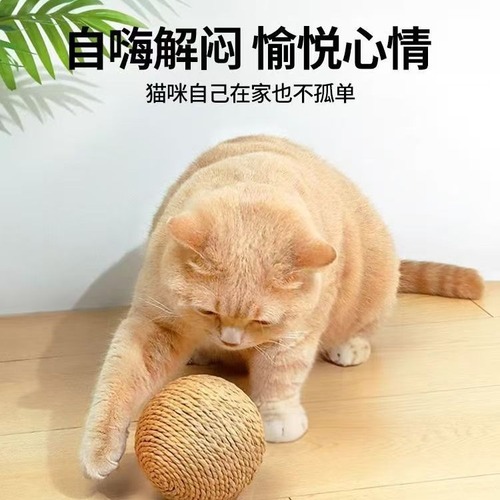 New Cat Toys 8cm Extra Large Sisal Ball Paper String Chew Toy Durable Biting and Entertaining Cat Teaser