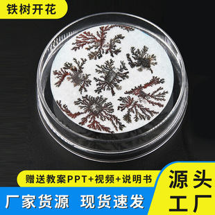 �ƌW����F���_�����W�ÓQ������ͯ�W���ֹ�DIY�Ƽ�С��������
