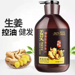 淳柔沐絲姜艾健發固發洗髮露老薑王鮮榨生薑養發去油洗髮汁