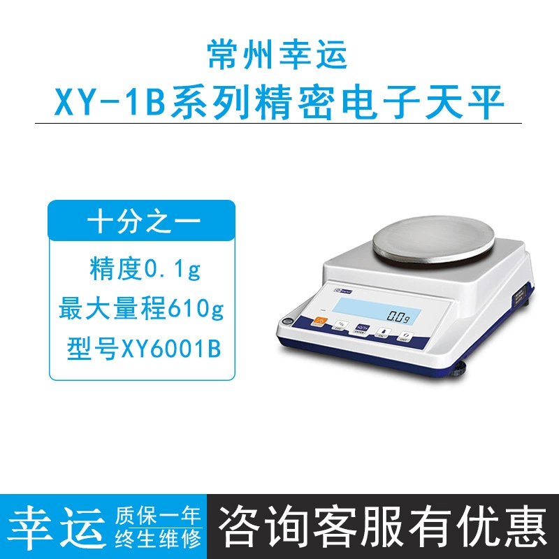 Чанчжоу Lucky XY6001B/XY10001B/XY20001BF прецизионный электронный баланс 0.1g десятый