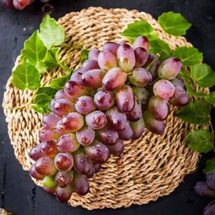 ����S���]���Fժ���������ё������rˮ���o�����Ѽt����һ�����l