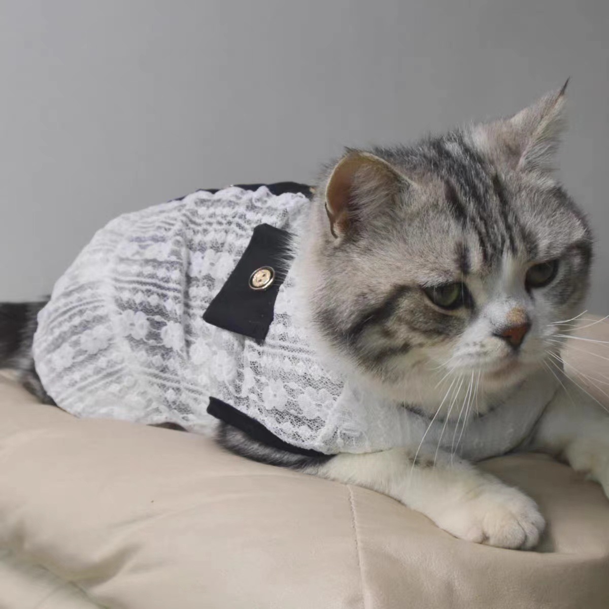 화이트 레이스 스커트