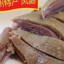 扬州特产口缘风鹅整只即食真空老鹅咸鹅食品下酒菜风干鹅肉