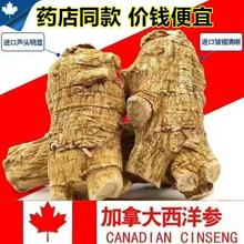 西洋参正宗加拿大特级进口粒头整枝整根花旗参正品打粉切片原装