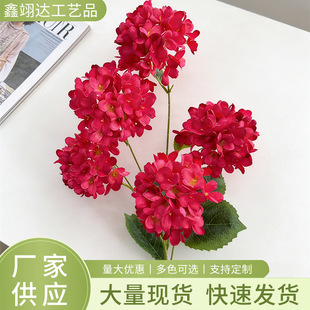 �����nʽ��֦5�^�ǹ������Y�÷��滨�ٻ��b廨�Ƶ��������