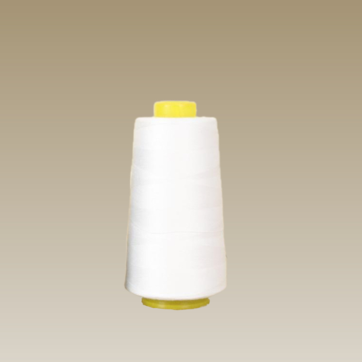 微信图片_20240222151420