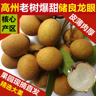 ���r���A �Fժ�F�l�������r������������ˮ����ʯ�� 5����S���]