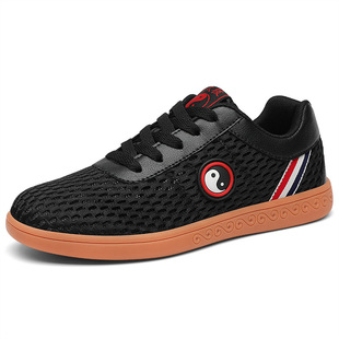 Tai Chi Shoes for Women, Wear-Resistant Tendon Soles, Tai Chi Practice Shoes for Men, Breathable Mesh Kung Fu Martial Arts Shoes, Special White Cloth Shoes