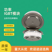 ƽ��뵼�������������բ��T618N12TOF T618N14TOF T619N12TOF T