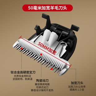 ��ë���ӵ��^���I������ë����Ƭ�qɽ��d��늄Ӽ�ë�C���^ͨ��