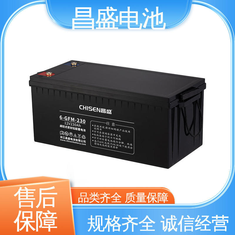 昌盛 6-GFM-230 ups不间断电源 医疗设备 应急蓄电池 规格齐全