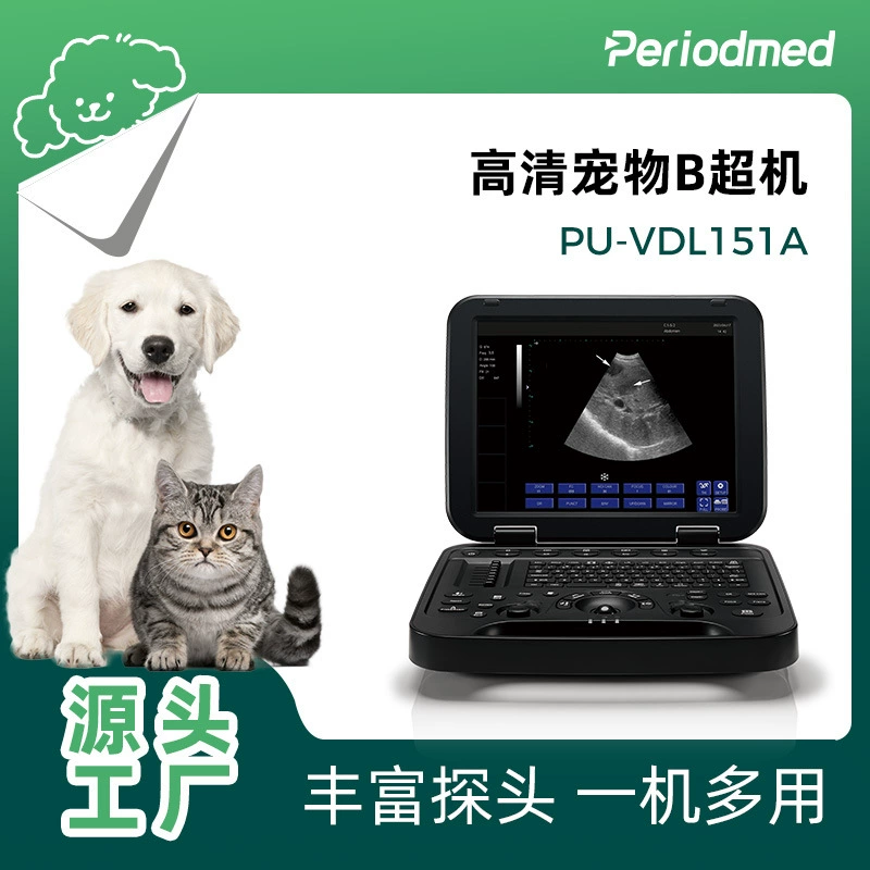 Производитель портативных ультразвуковых детекторов Customized Pumasi pet B-ultrasound PU-VDL151A