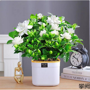 �d�ӻ����Ԏ������ļ��_������ζĵ���ذ�lؔ���辰�Gֲ�҃�����