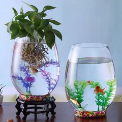 グリーンピクシー水耕栽培グリーンピクシー水耕植物水栽培グリーンピクシーベース透明ガラス水槽容器