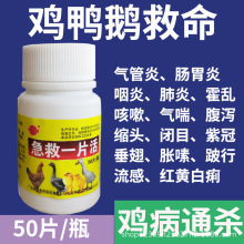 �u��ȫ���B�uș�u����ð������ϡ�����u���Z����uș��ȫ��ș