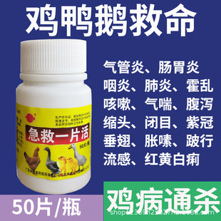 �u��ȫ���B�uș�u����ð������ϡ�����u���Z����uș��ȫ��ș