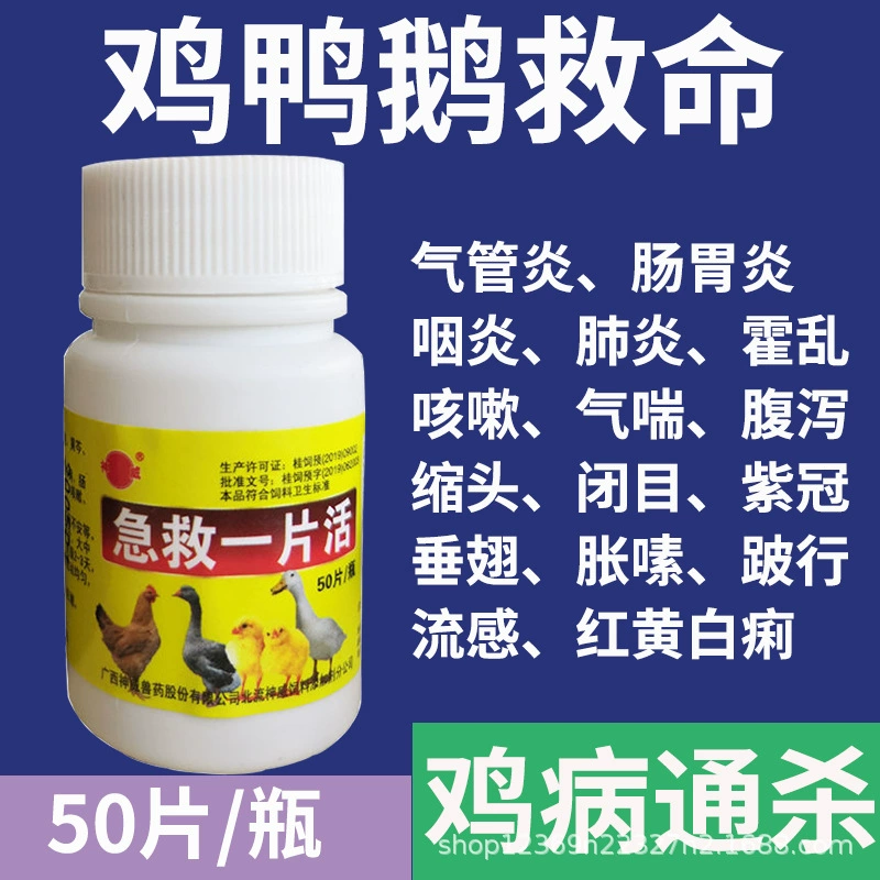 Полное лечение куриной болезни