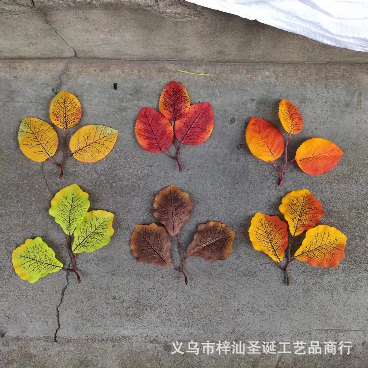 图片_20211120145556