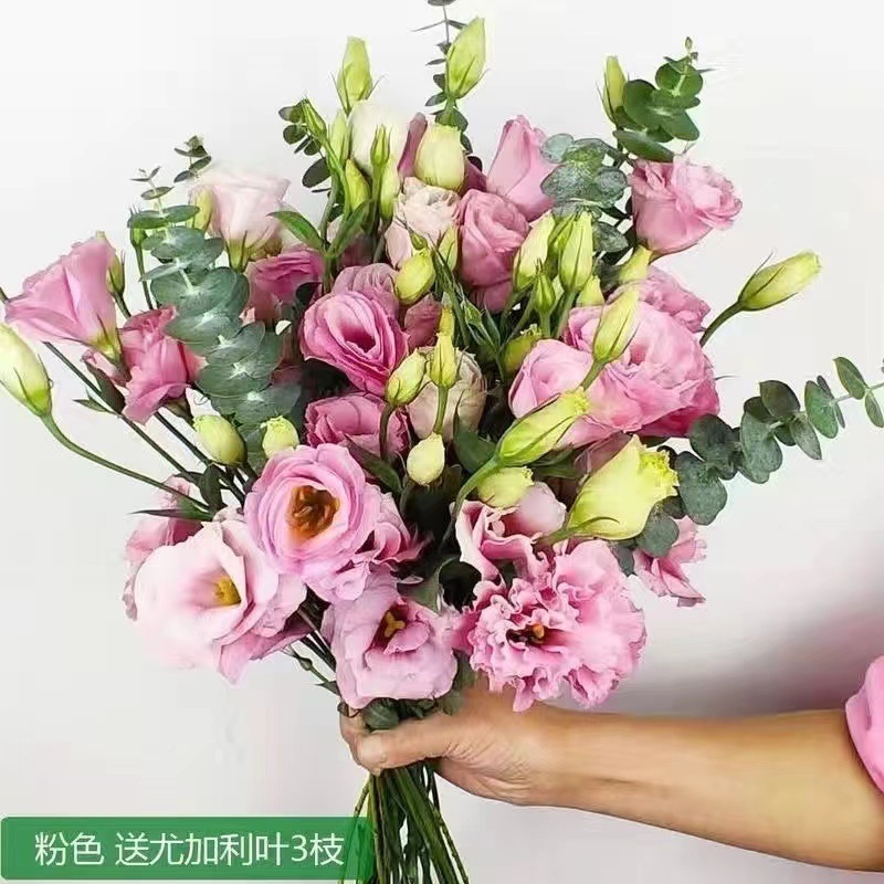 レアカラーのエリュケンバの花、新鮮なミックス、屋内水耕栽培、家庭用フラワーアレンジメント、オフィス、雲南基地直送|undefined