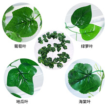 �����ٗl�S�����G����������߲�ˮ�����ϰ�����l�b��~��