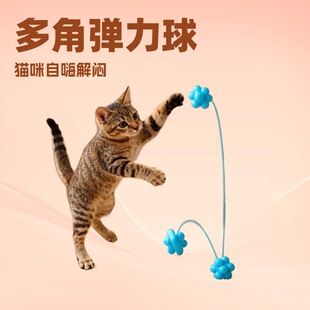 ؈������؈�������R�d؈������˽␞��؈��羳؈�����