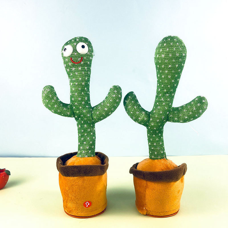 흔들리는 춤추는 선인장