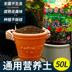 有机营养土家用通用型园艺花卉多肉果蔬土壤透气种菜绿植专用肥料