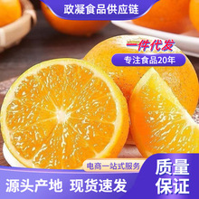 ������ꖱ��ǳ� ���l3/9�����r�����֭����Ӯ���ˮ�����M��Ě��