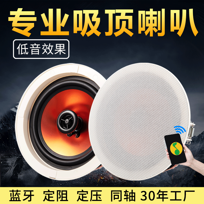 Ceiled speaker with good sound quality with bass band power amplifier fixed resistance coaxial ceiling speaker Bluetooth ceiling speaker