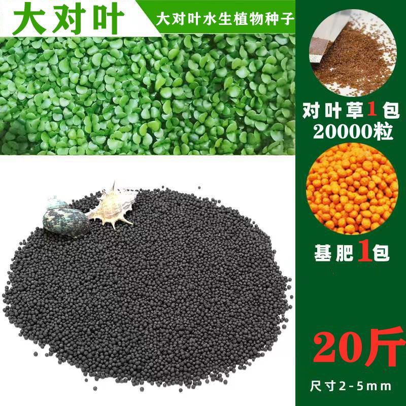 수생식물머드【10kg】강화정수버전-【핫세일】대형잎 20,000개 + 무료기초비료